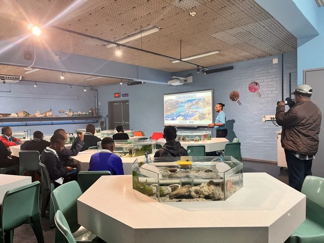 Tinywow Anzio Life in Rock Pools 53154975 Medium