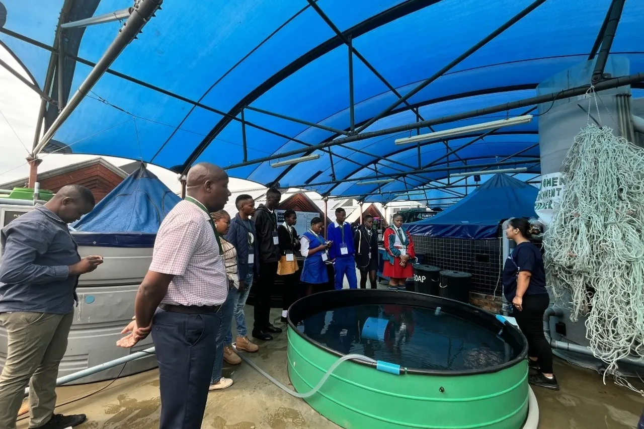 Tinywow Ayesha Cornelius Group 53155032 Medium