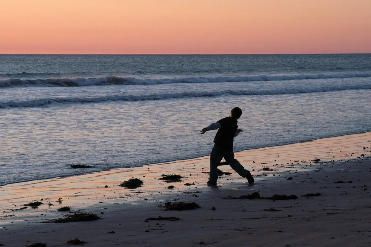 238085708 060ba66f11 o