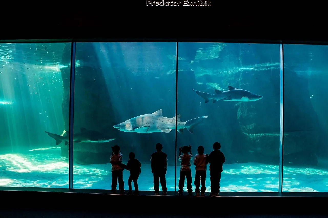 When not at work, what does the aquarium team miss?