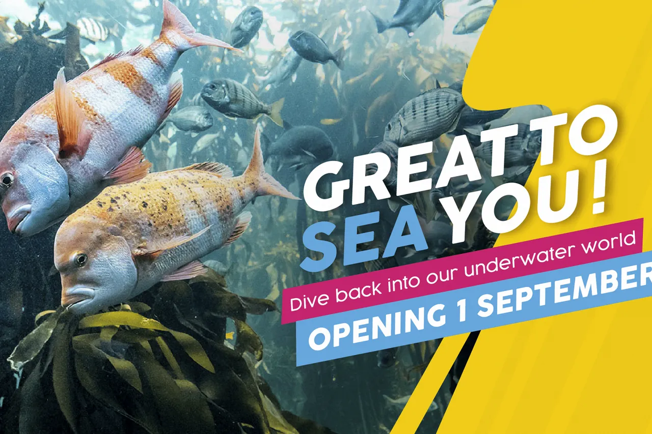 Reopening facebook 25