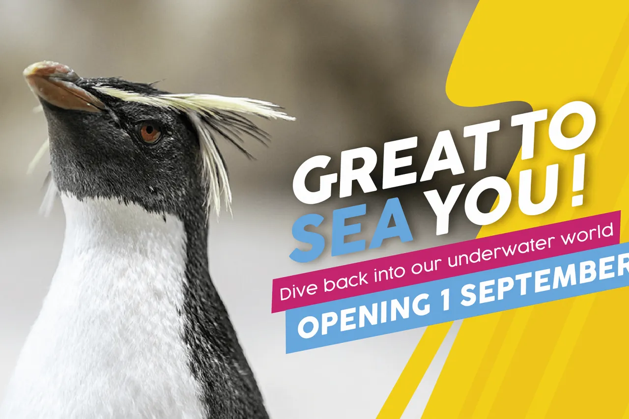 Reopening facebook 28