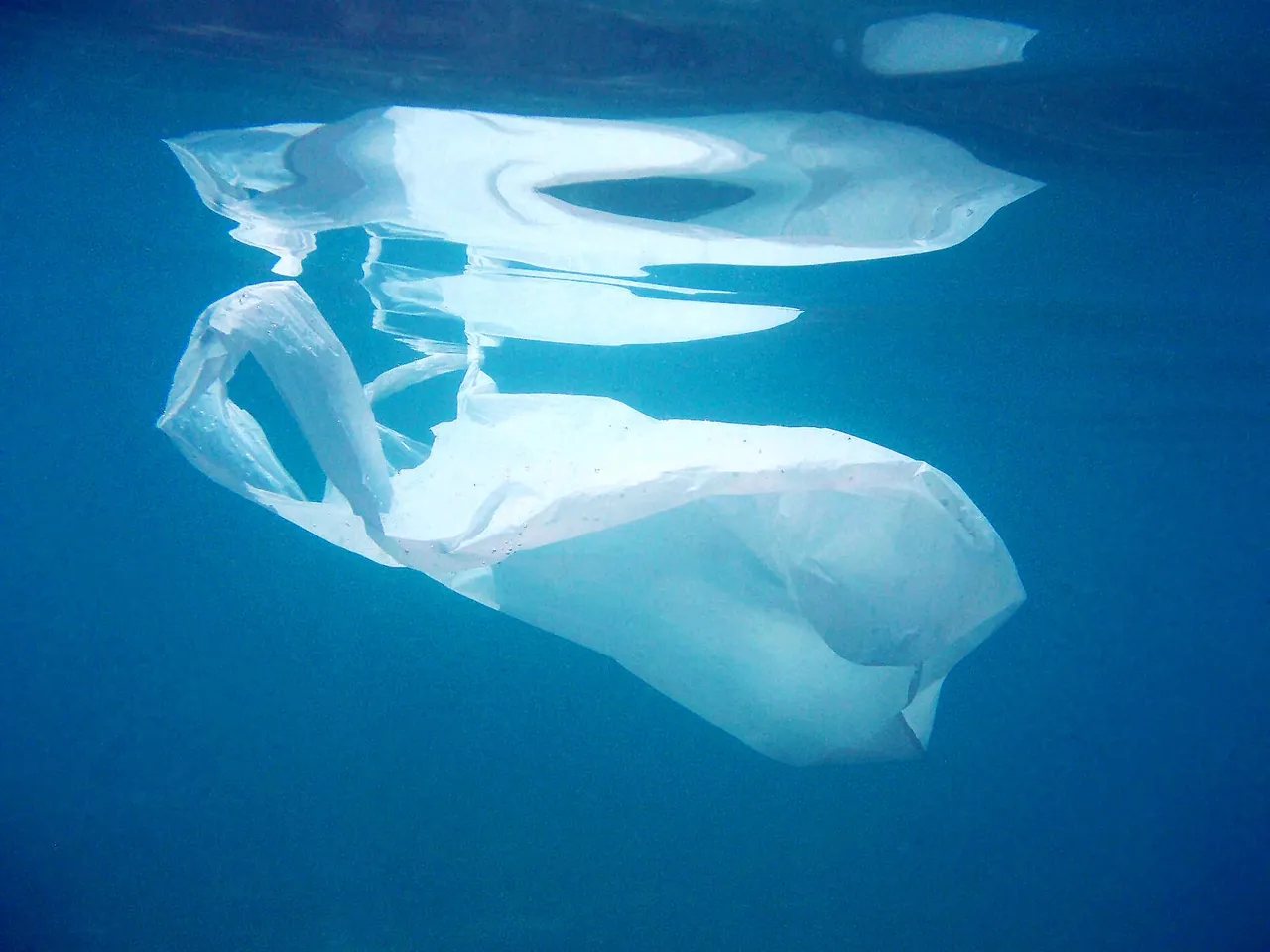 Catch up on the 2020 plastic free july webinar recordings here