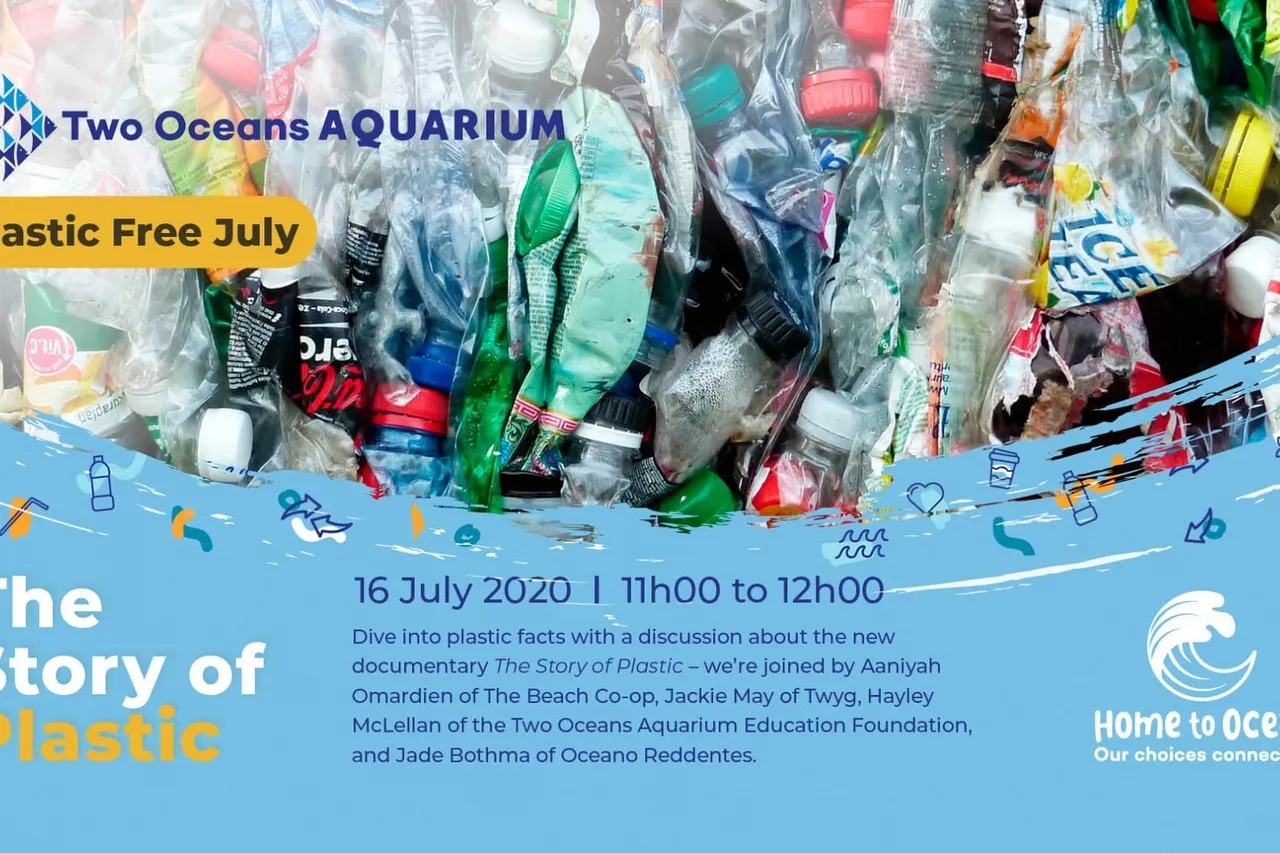 PFJ 2020 Webinar plastic2