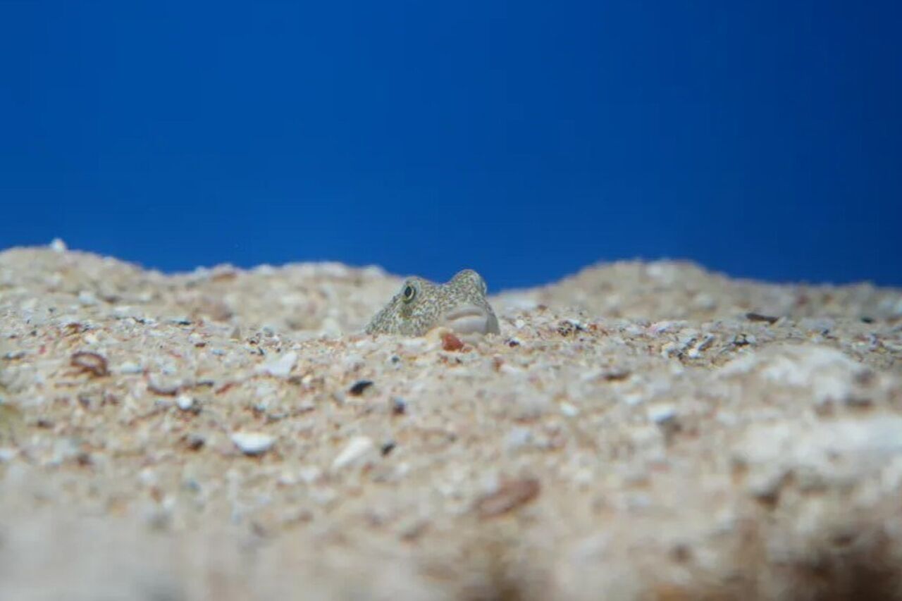 DSC06959 8b4d6721ce7a5a4052f3c07d20423959 Medium