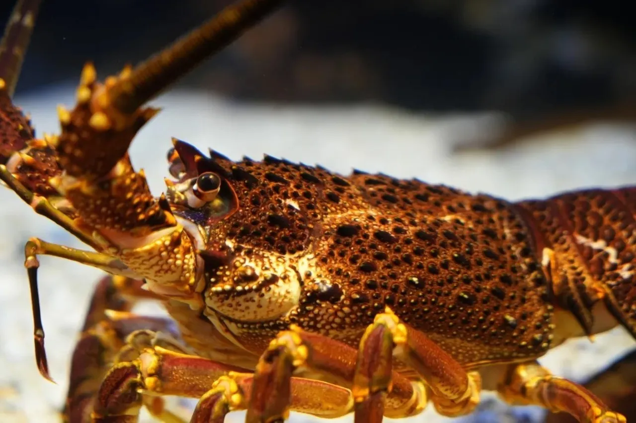 DSC06922 44085a960aeecfce3e46bcb76e3e6d3e Medium