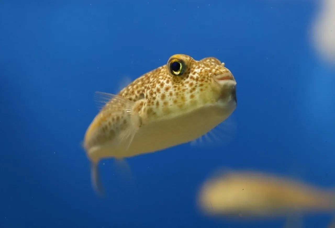 Cool animal facts to share with your friends and family