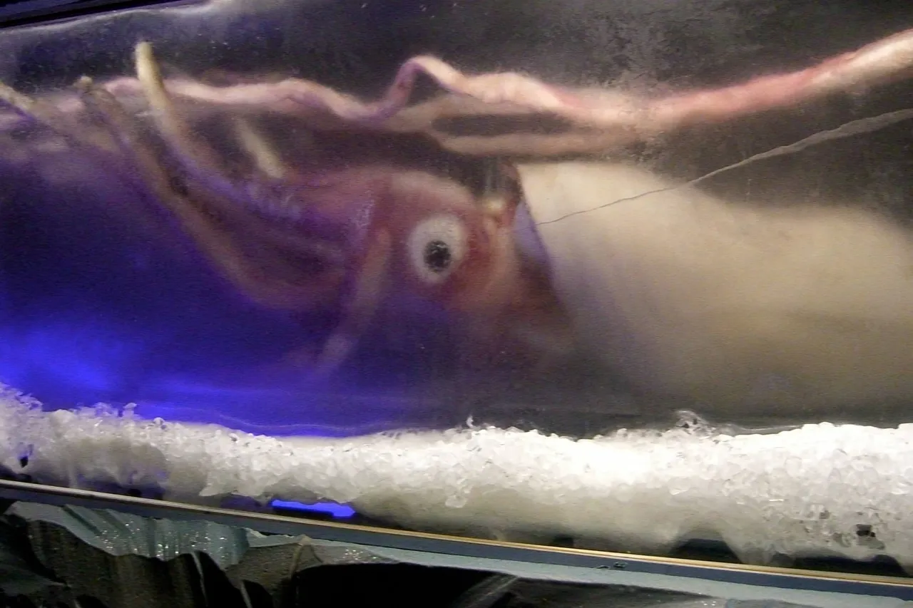 214919378 4308053f5c o