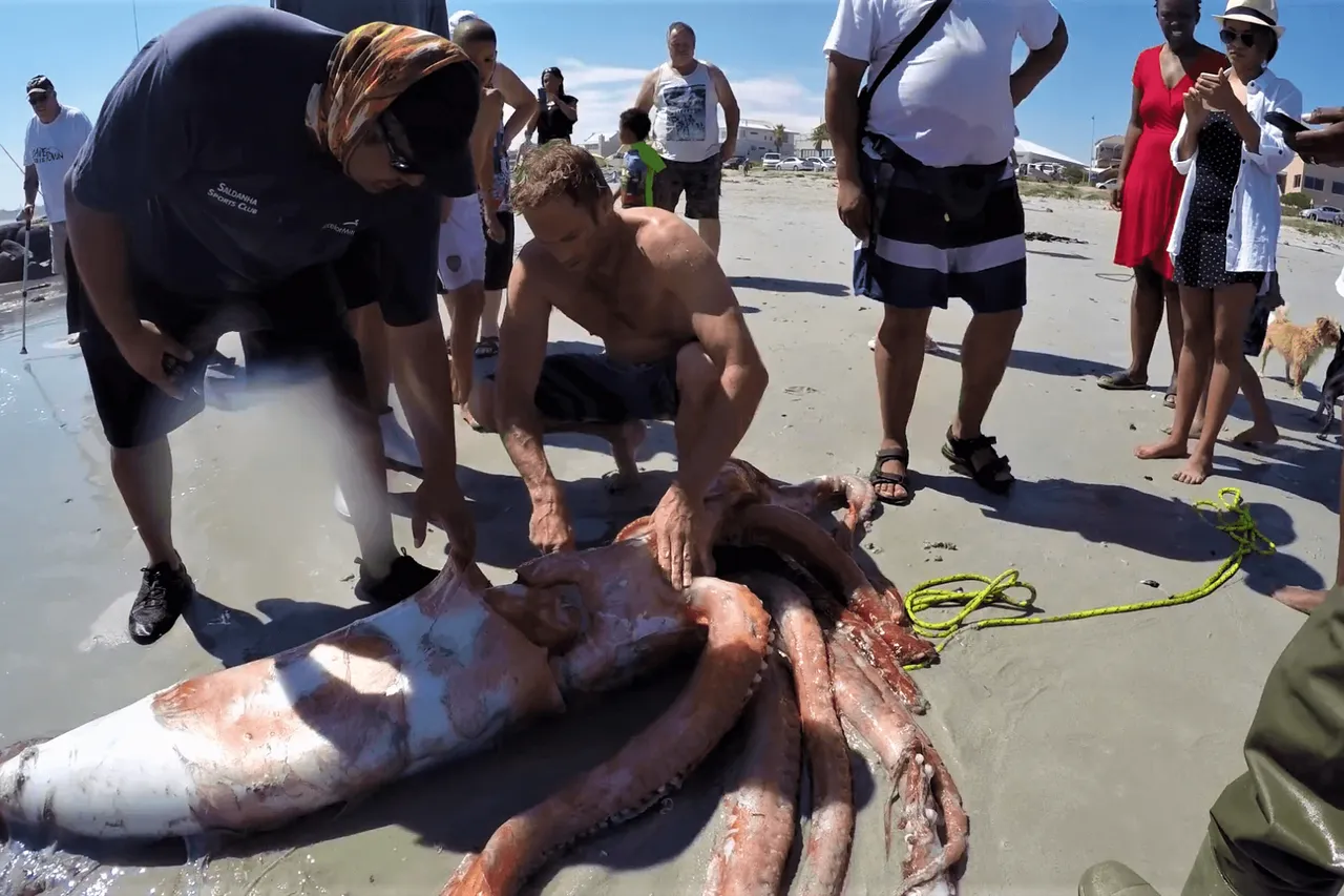 Vlcsnap 2020 06 10 13h23m18s862