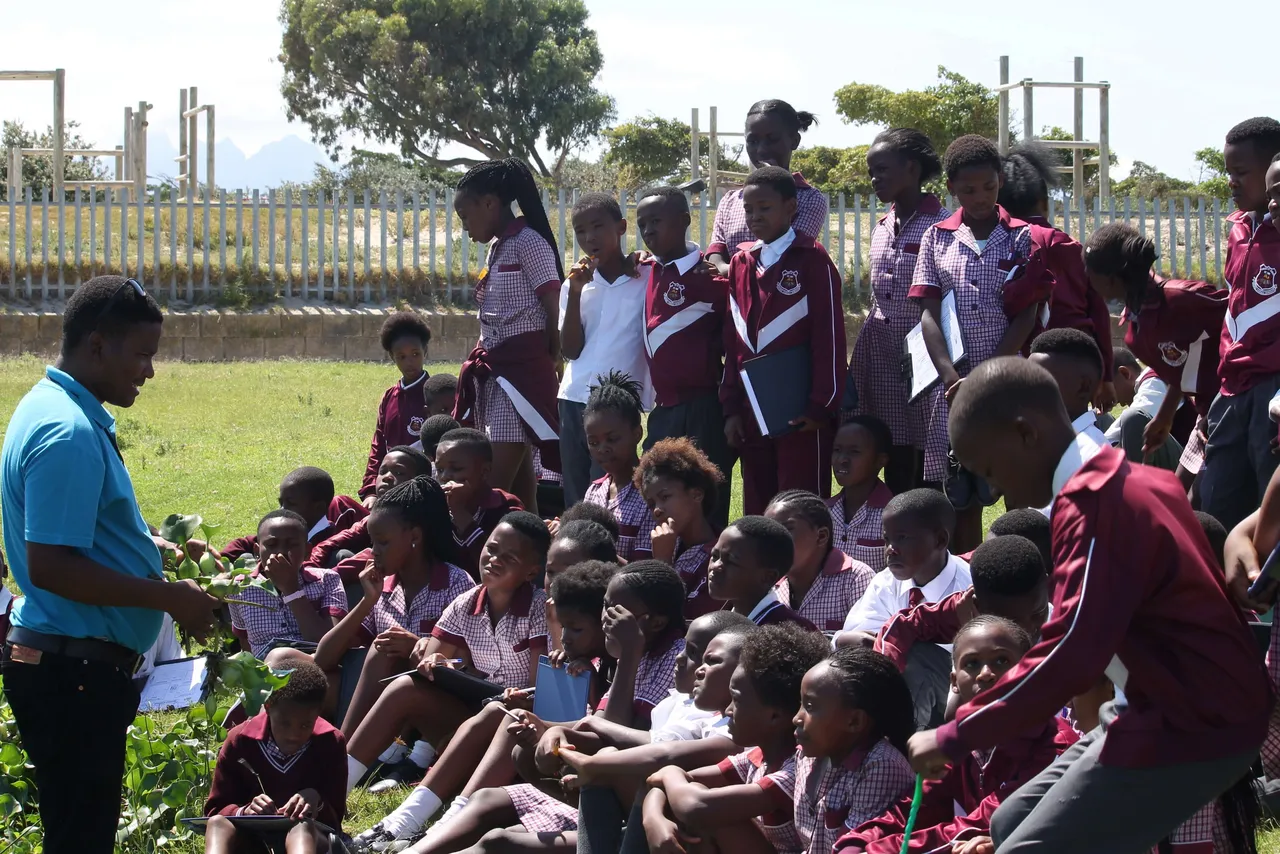 Wetlands week 2020: exploring a local wetland