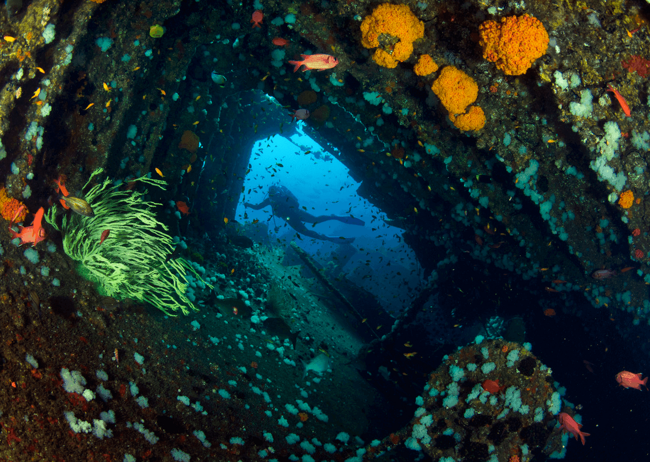 Marine protected areas | Everything you need to know about marine protected areas in south africa