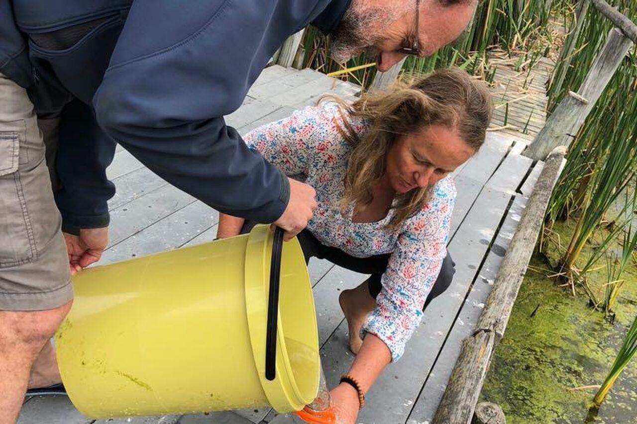 PHOTO 2018 02 13 20 43 45