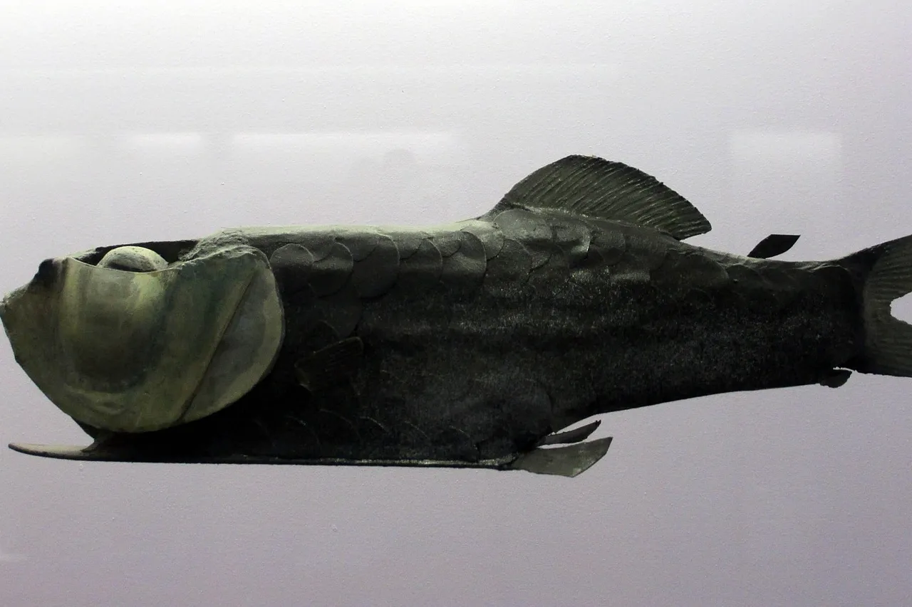 Barreleye Model NHM London