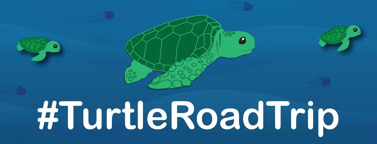 Turtle road trip 2020: turning coastal communities into stranded turtle rescue heroes