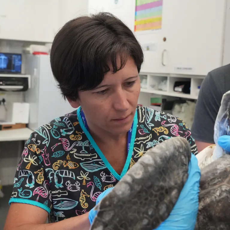 Happy Women's Day to some of our incredible ocean guardians!