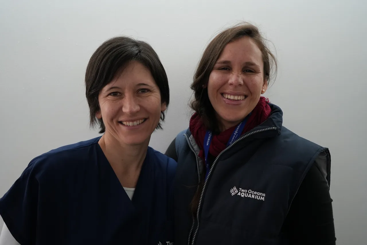 Meet our marvellous vets!