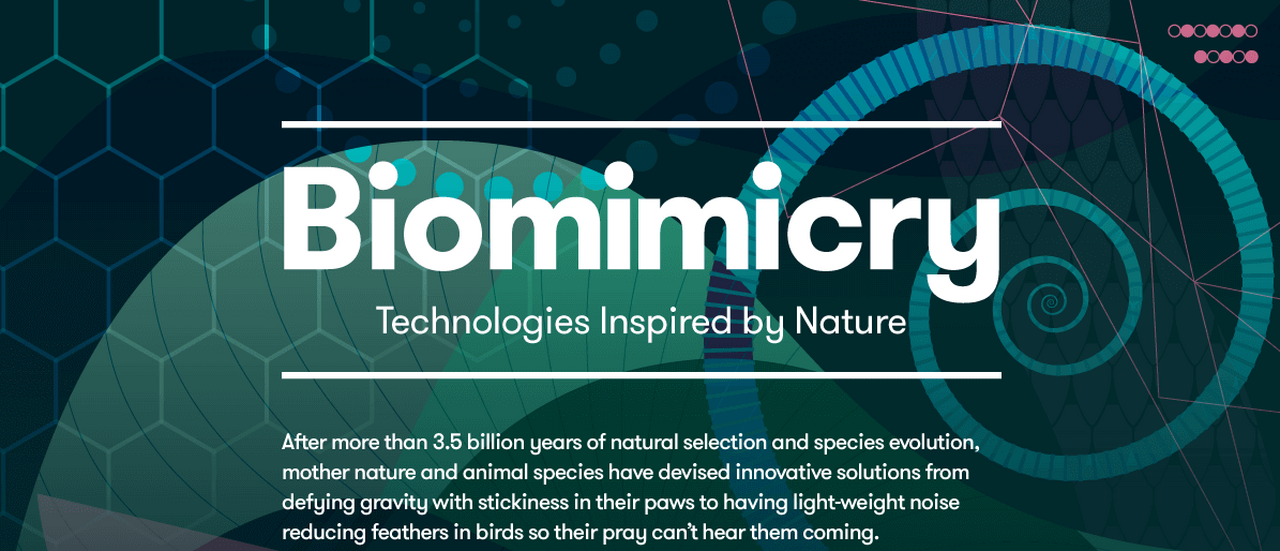 Biomimicry: technologies inspired by nature