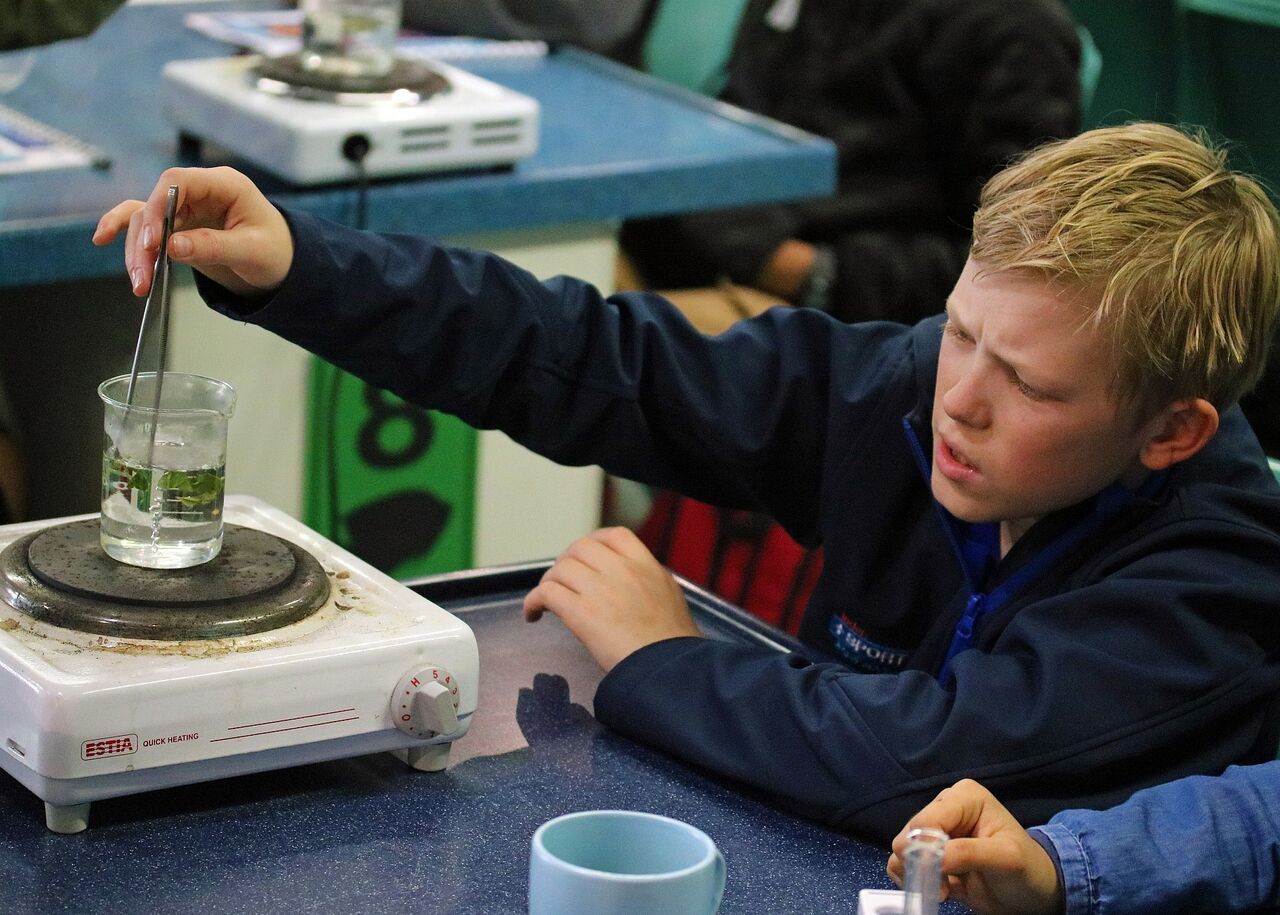 Free course for grade 9s: applications for the marine science explorer course are open