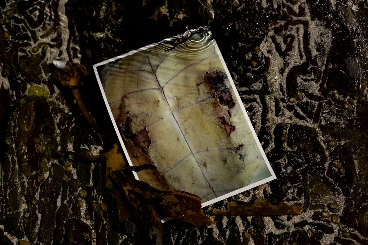 1 Ripples And Ripped