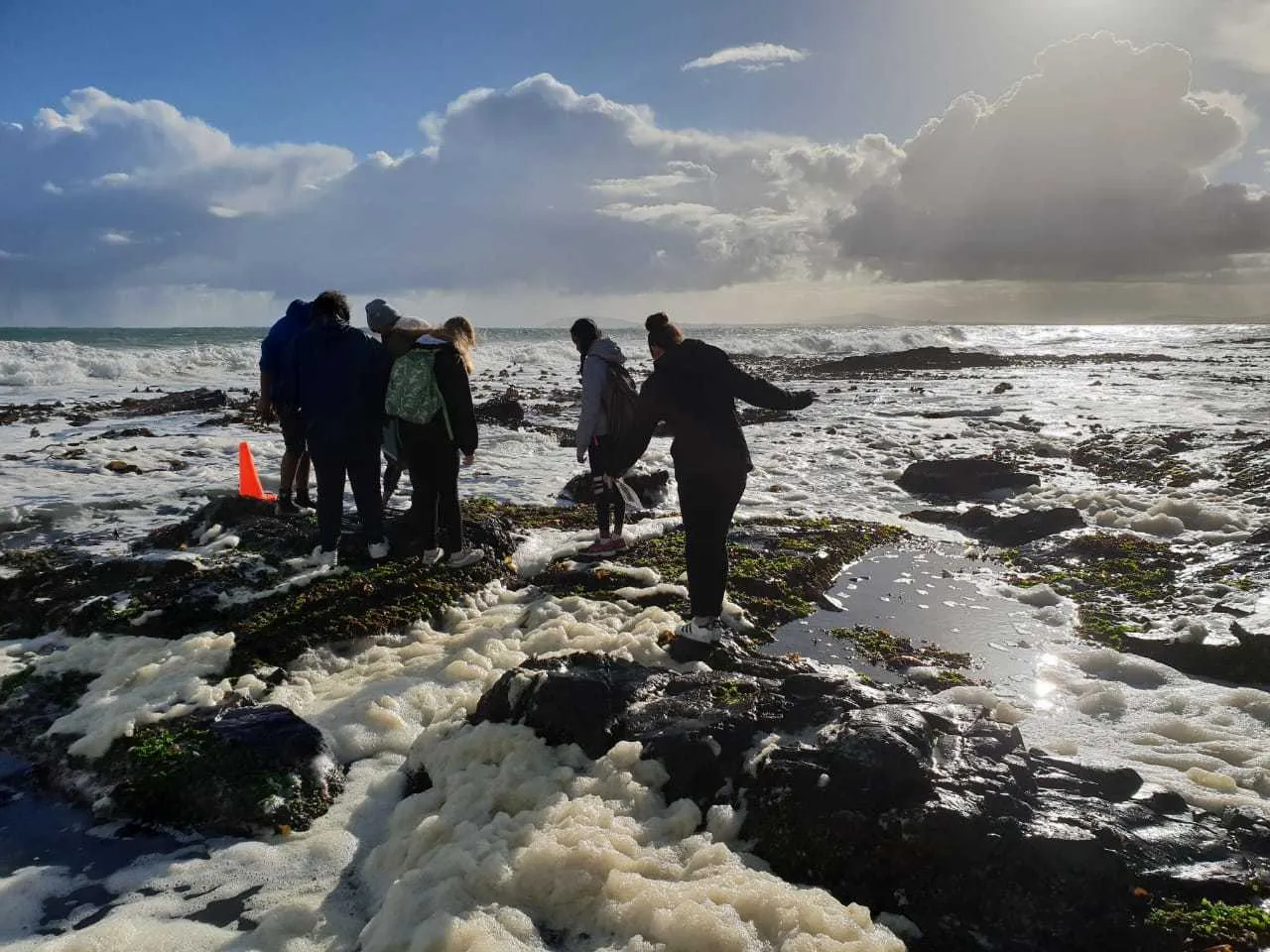 Free marine science discoverer course for grade 8s: applications open