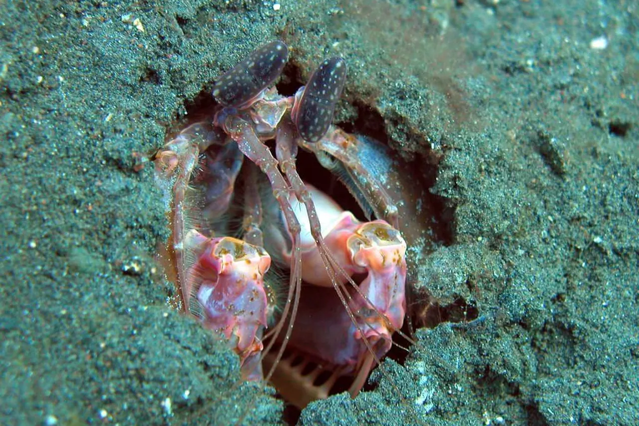 61157818 cdf438c8ec o