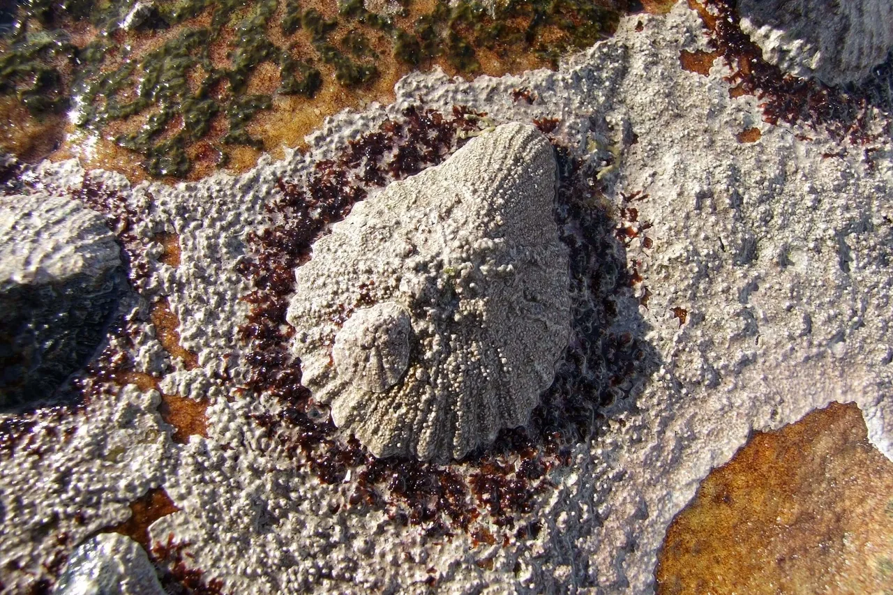 7214254726 80342dcacf o