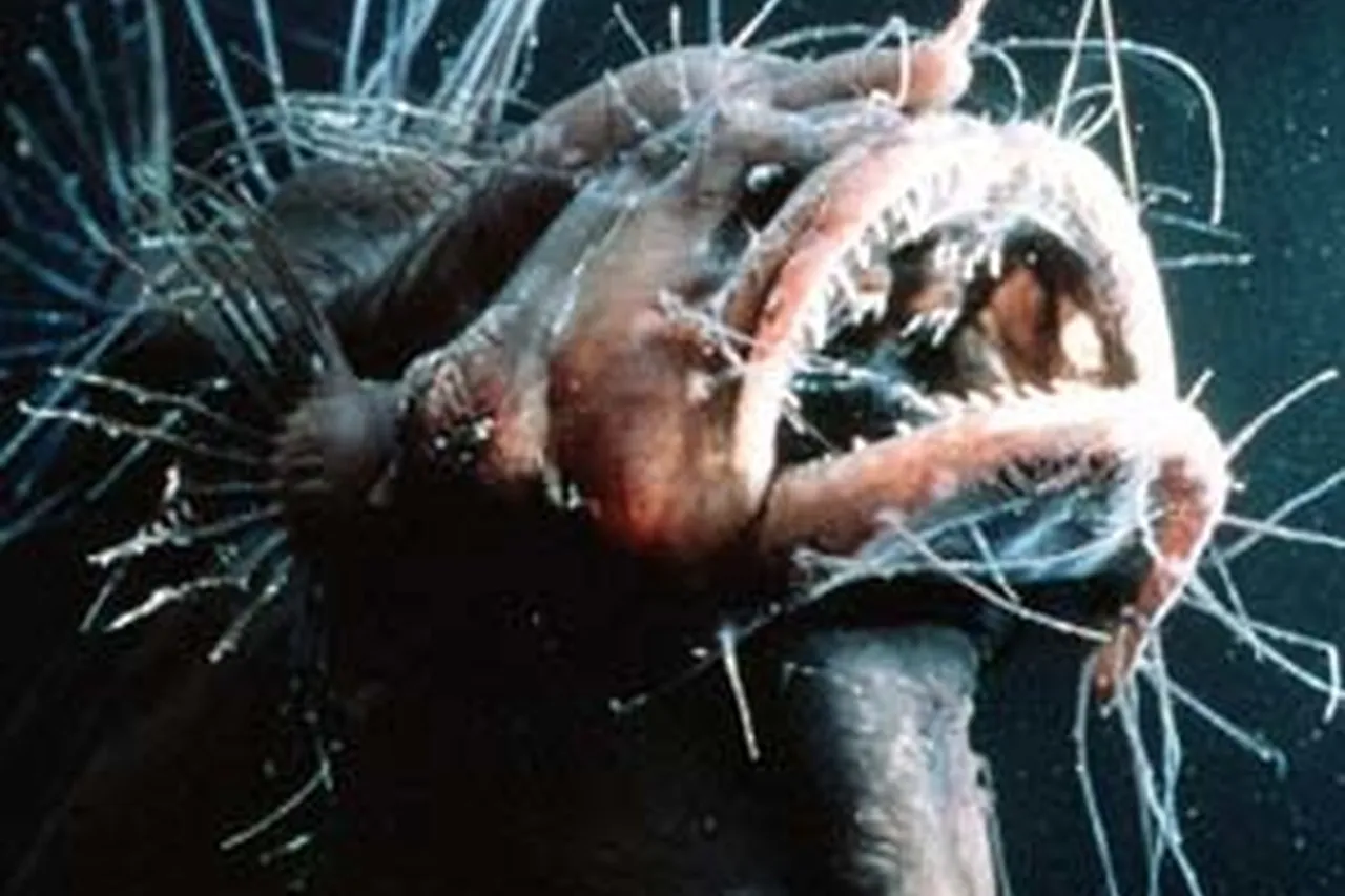 82532887 98550c0702 o