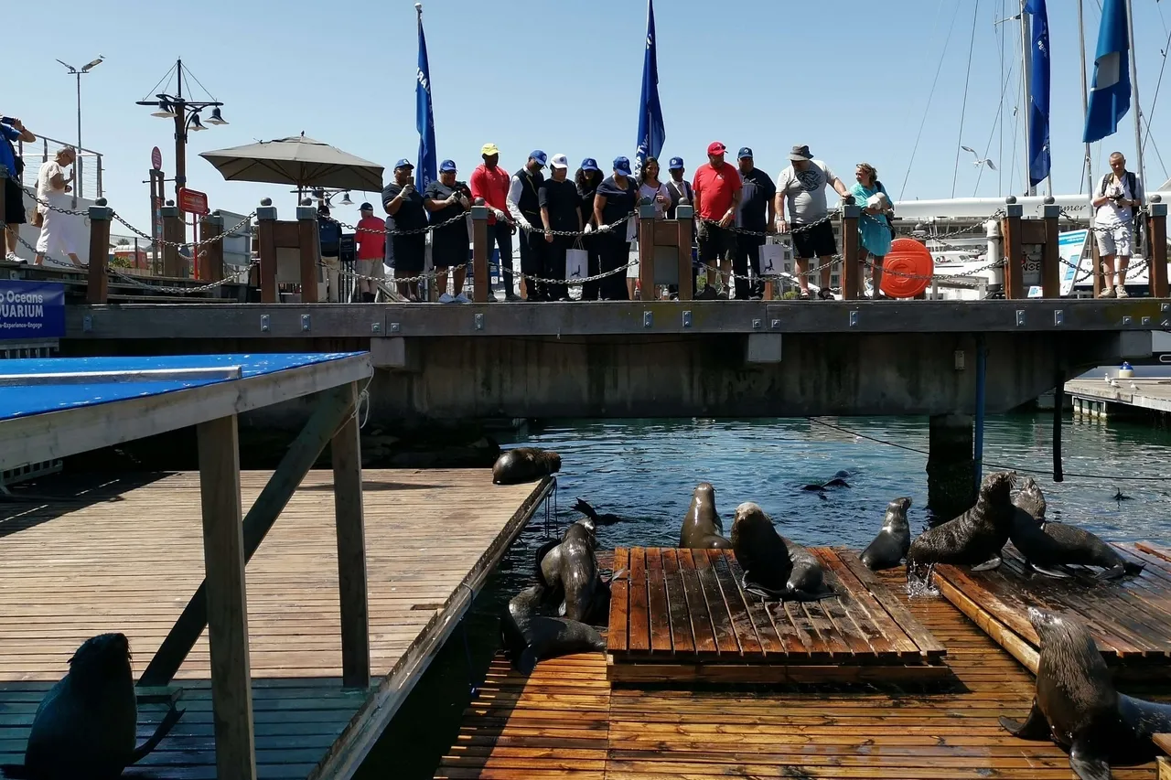 TOA Table Bay Hotel Meet 6