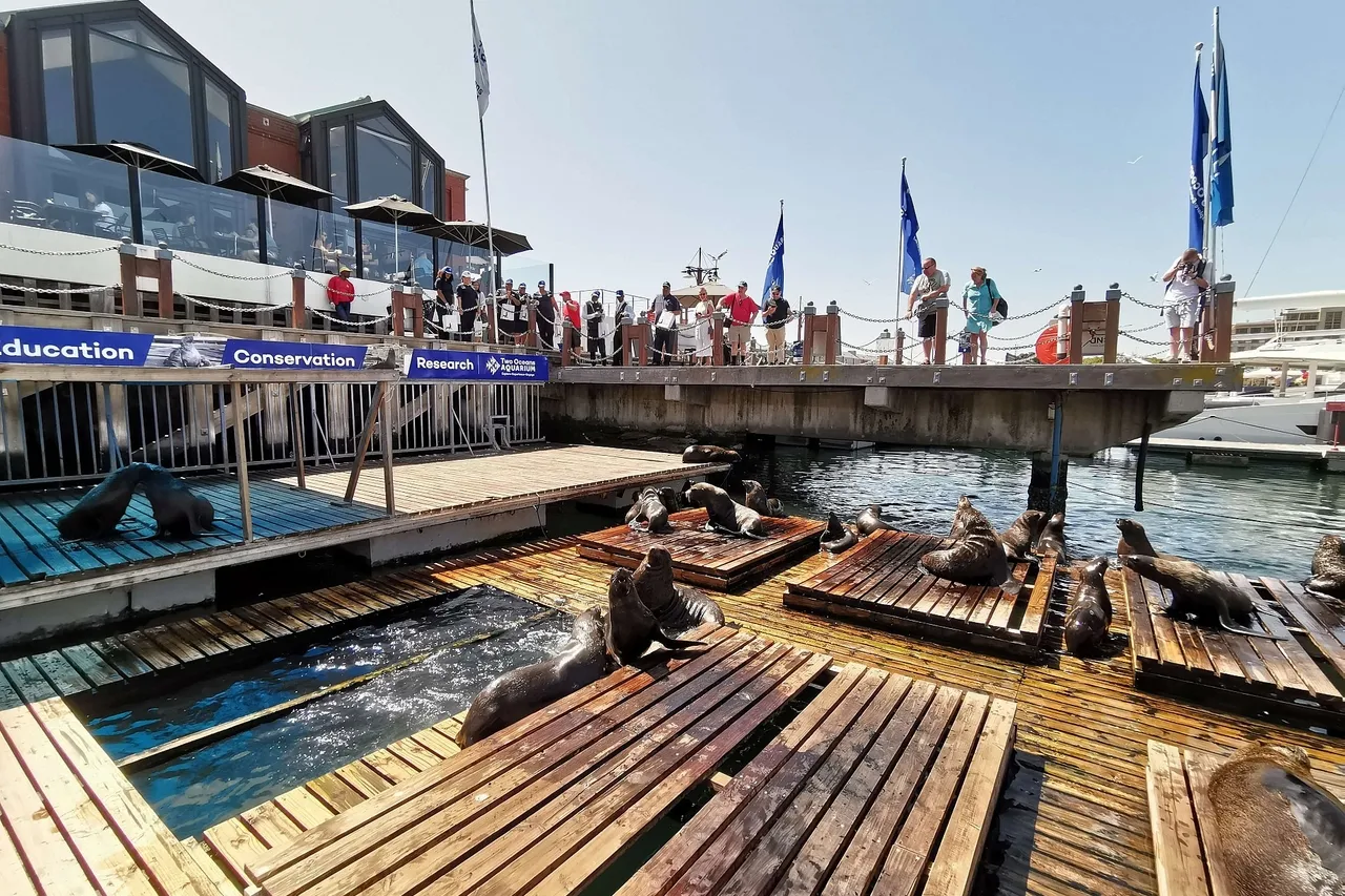 TOA Table Bay Hotel Meet 5