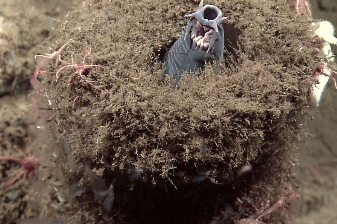 9737635824 18fabe9b1d o