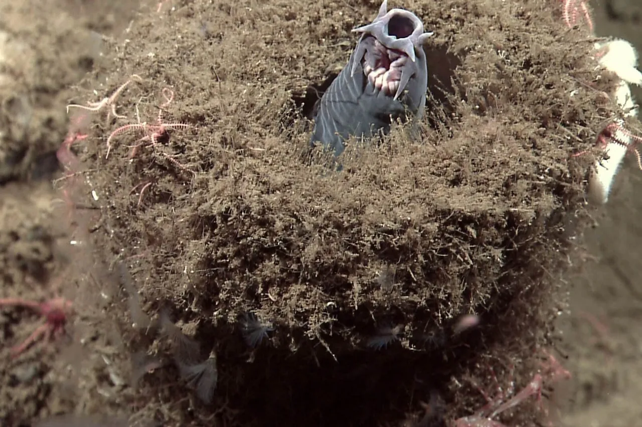 9737635824 18fabe9b1d o