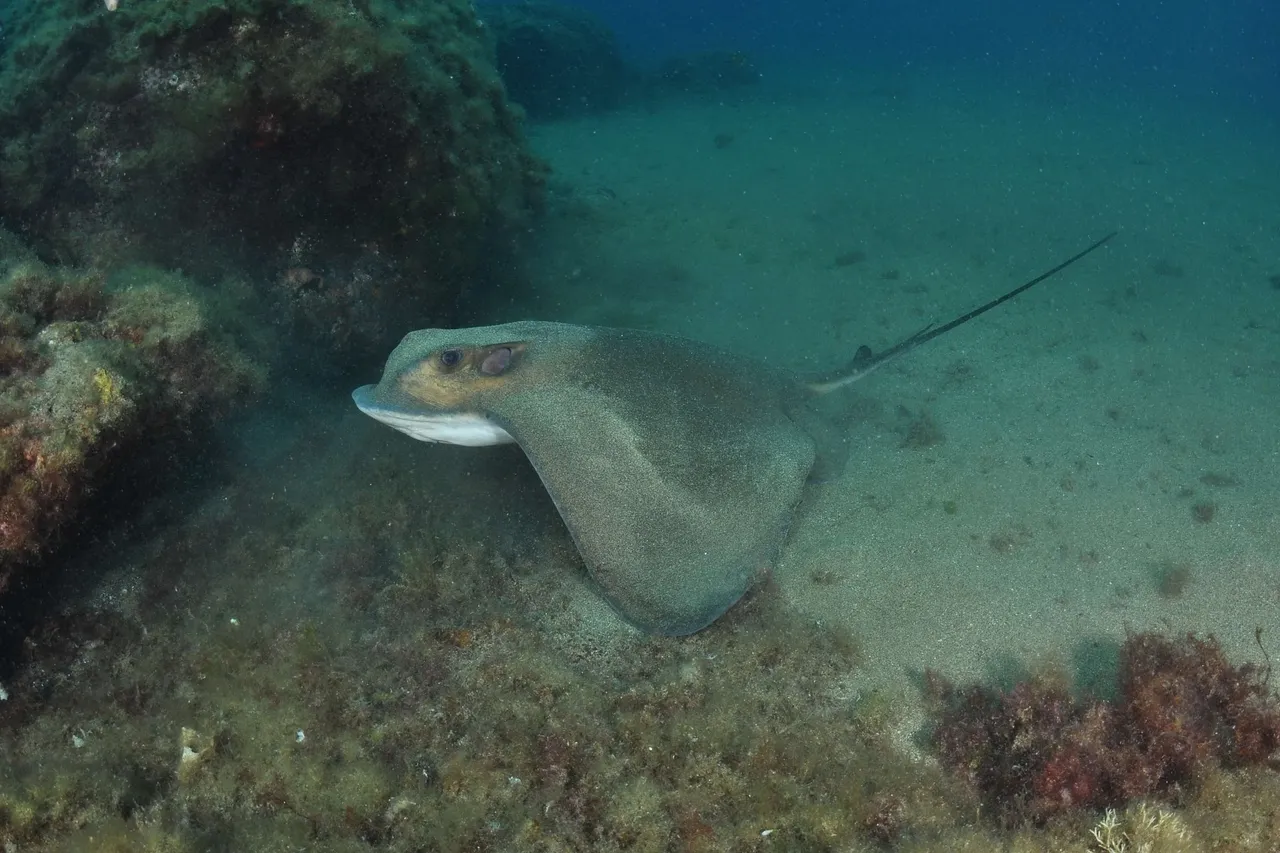 6438414869 815e5e65c7 o