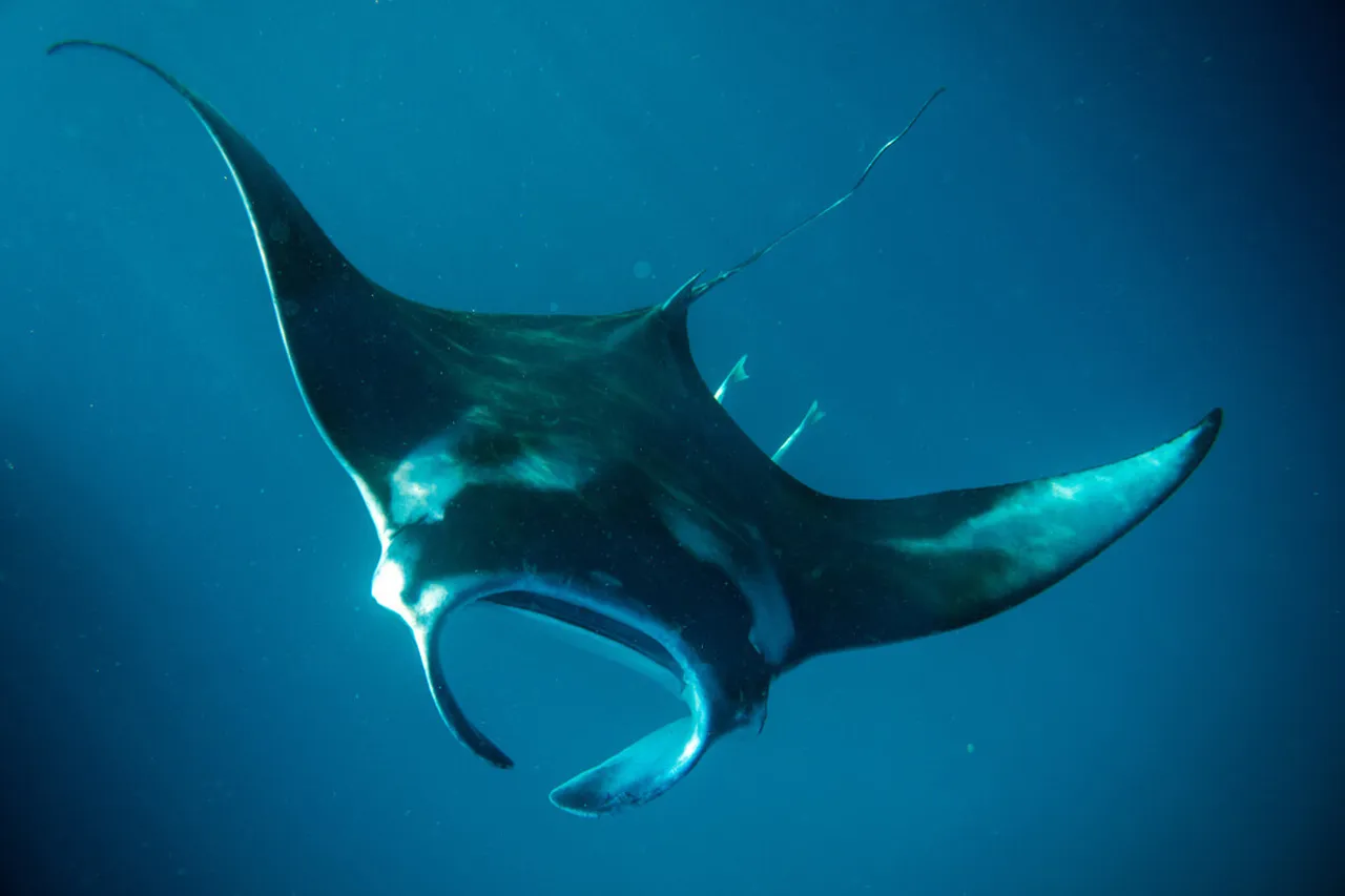 13057977354 d7b52863e8 o