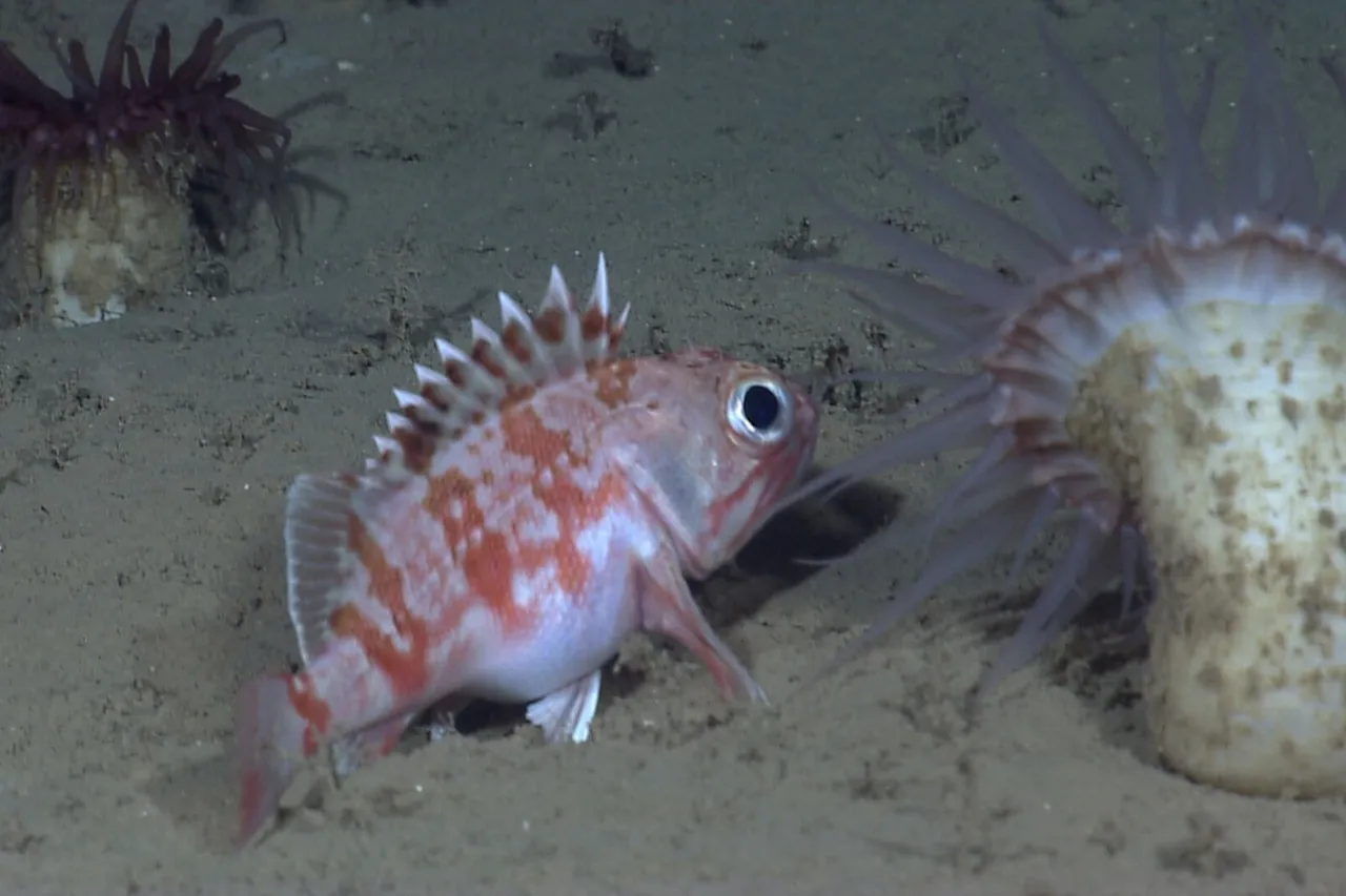 9737930086 9cd6137167 o