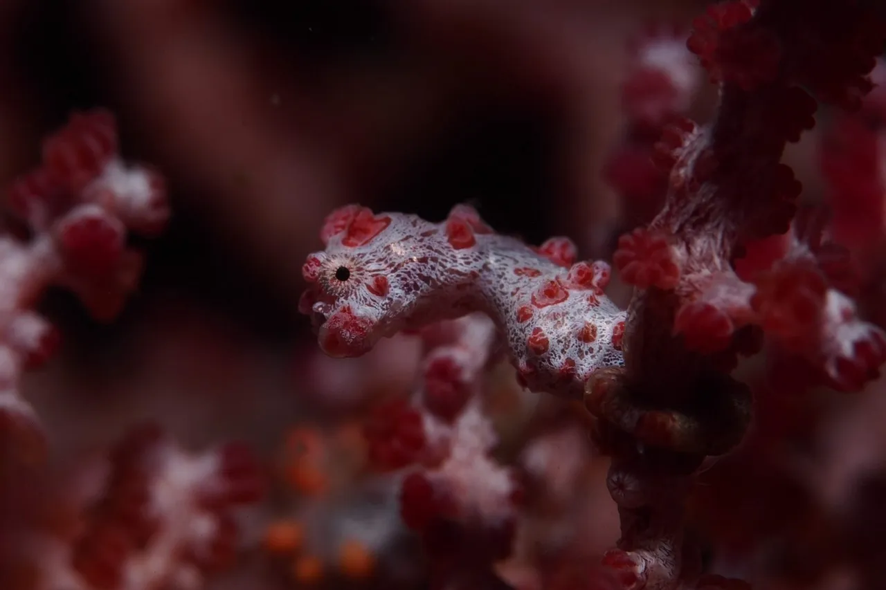 16244523652 5d49d52f8d o