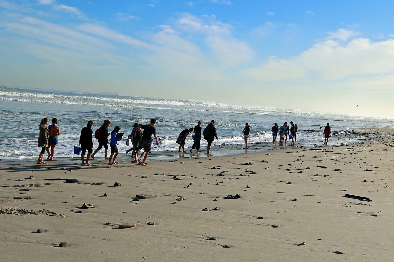 Averda Marine science explorers course 2018 D Bowen 14