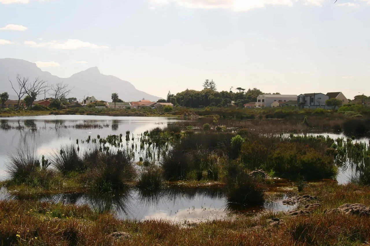 Development encroaching H Lockhart