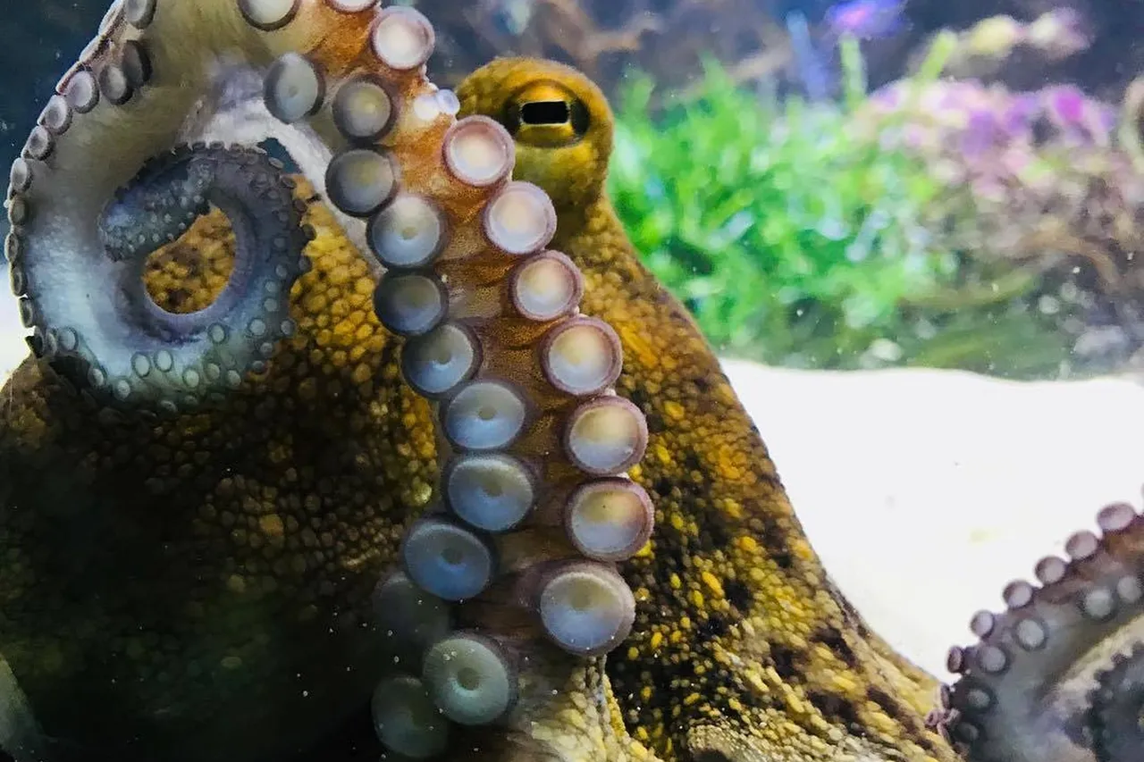 Michellecherrytree 15 8 2018 11 53 5 2