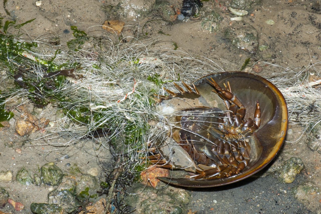 2796362506 51c460f66f o