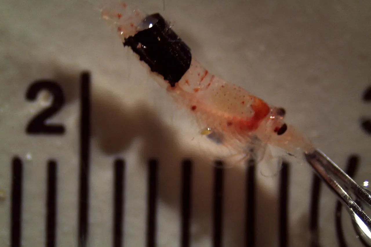 27555129683 7c8fc55f99 o