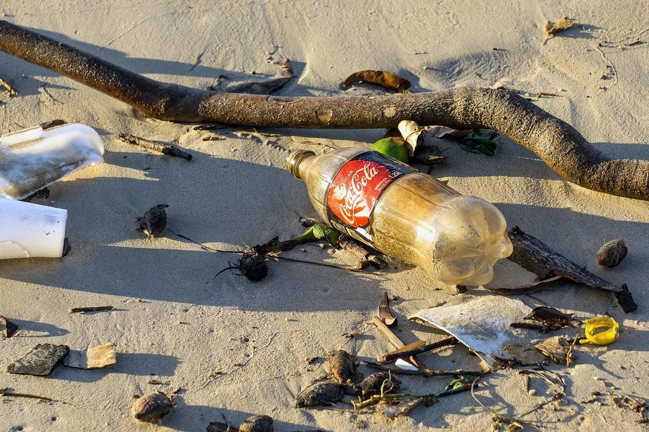 27273452417 3fb8aa6d44 o