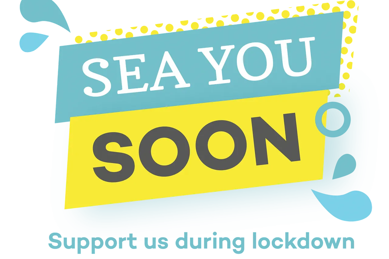 Support us element 04