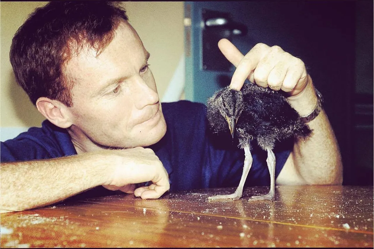 2016 12 08 09 28 18 1400579416018539778 2oceansaquarium