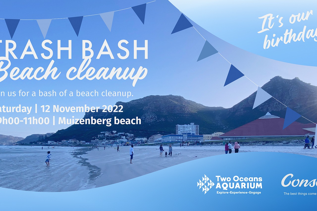 Trash Bash Muizenberg 01