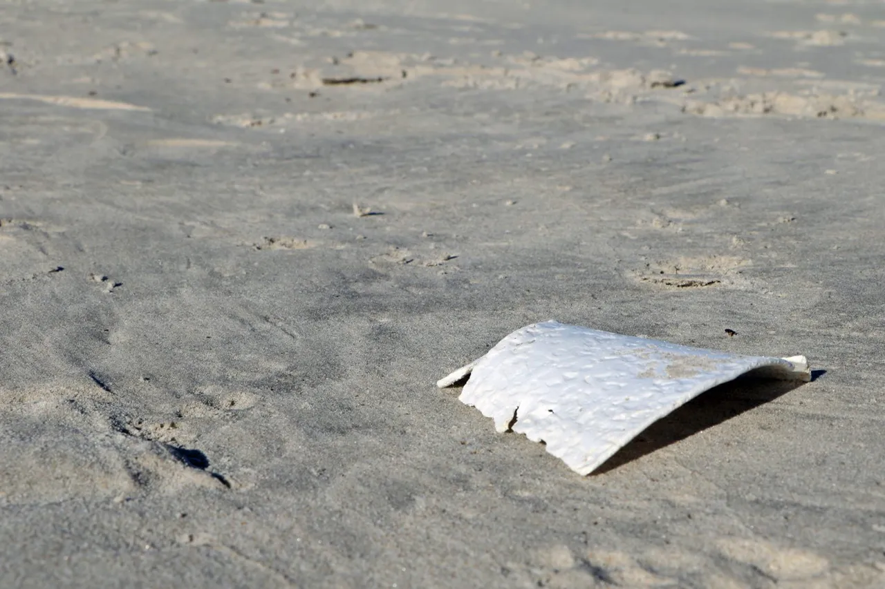 Trash Bash1 Devon 23