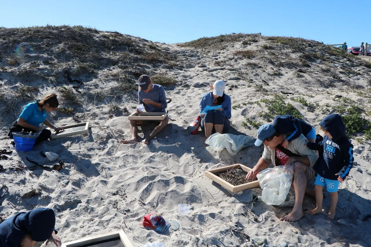 Trash Bash1 Devon 128