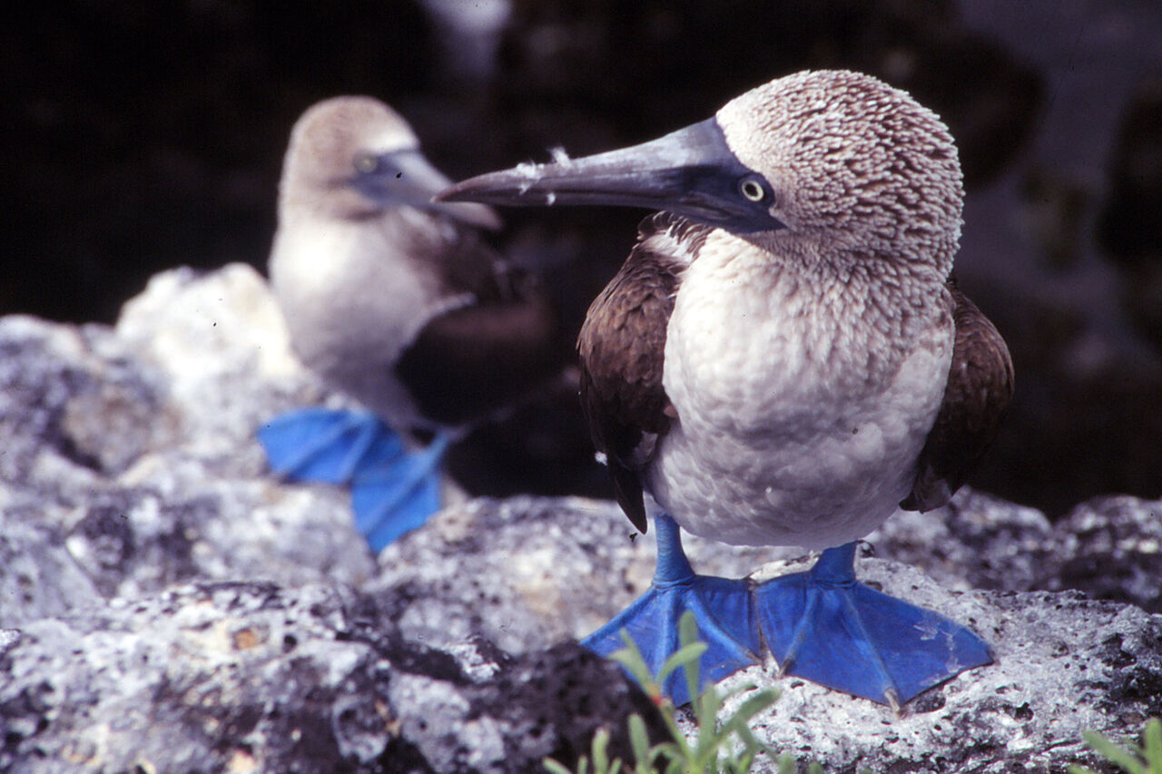 5459384441 103f827bd1 o