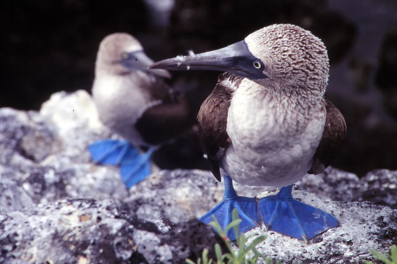 5459384441 103f827bd1 o