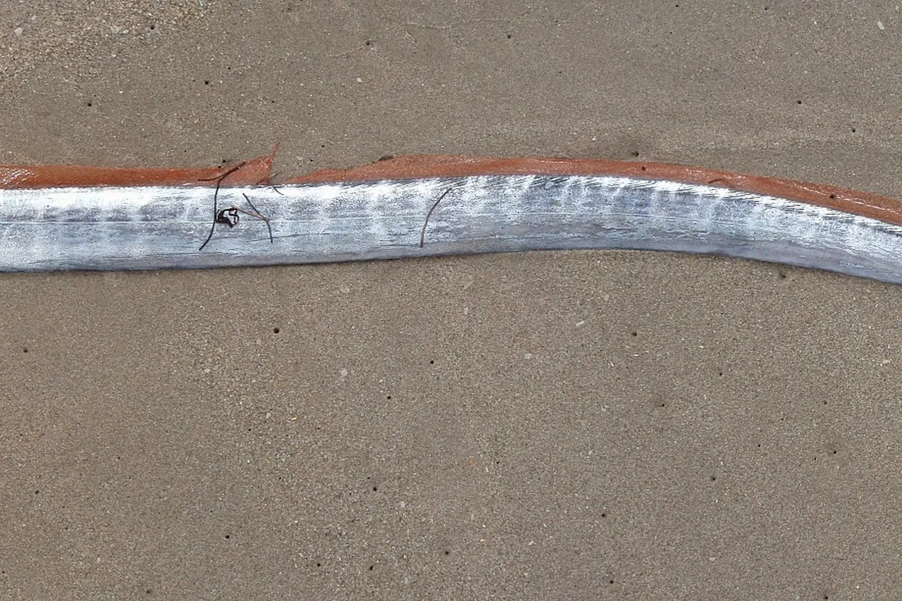 4015095069 a85c86e0f1 o