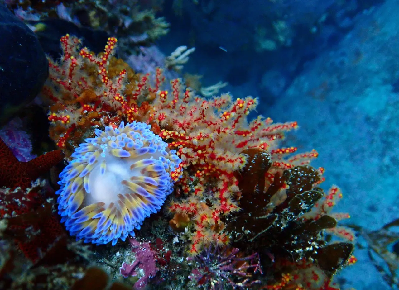 This World Ocean Day, let's protect its future (and ours)